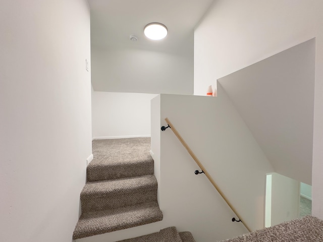 staircase featuring carpet