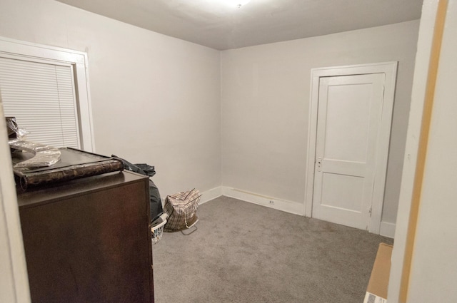 miscellaneous room featuring carpet floors