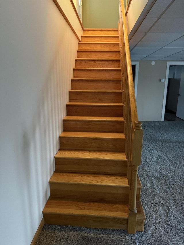 stairs featuring carpet floors