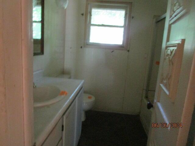 bathroom with vanity, toilet, and walk in shower