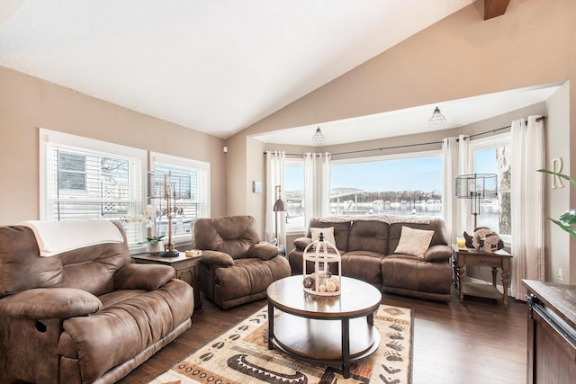 living room featuring dark hardwood / wood-style floors and lofted ceiling