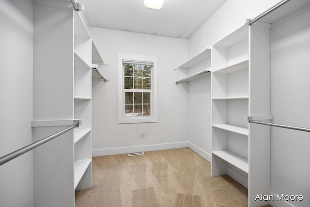 spacious closet with light colored carpet