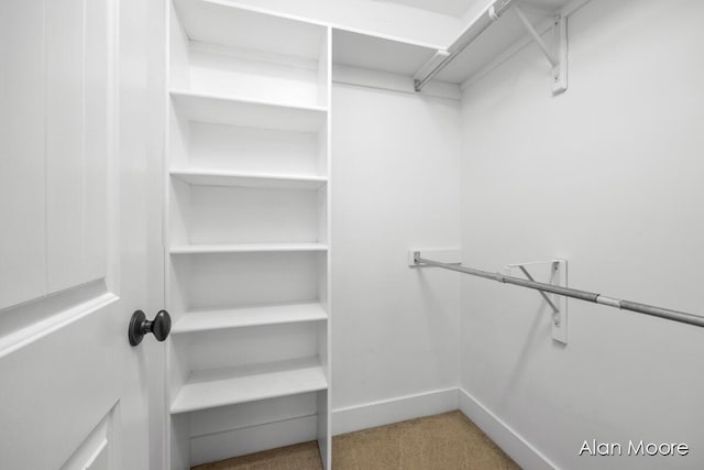 walk in closet with carpet