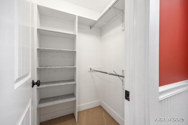 walk in closet featuring carpet floors