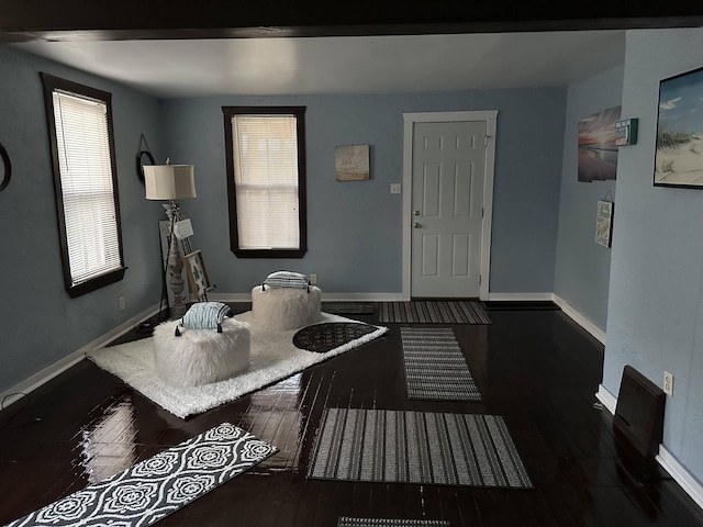 foyer entrance featuring plenty of natural light and dark wood-type flooring