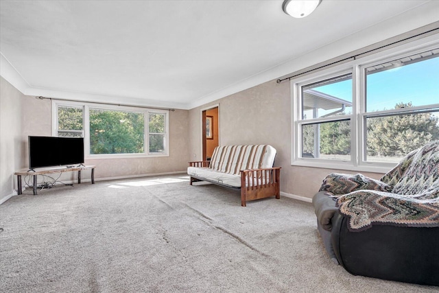 carpeted living room with ornamental molding