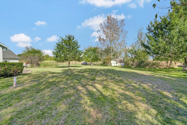 view of yard featuring a storage unit