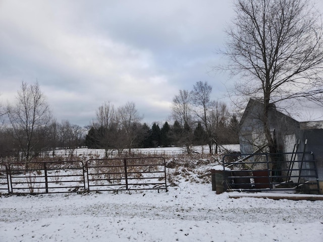 view of yard layered in snow