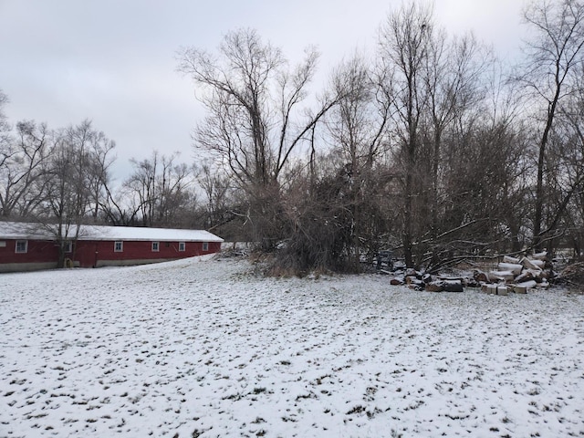 view of yard covered in snow