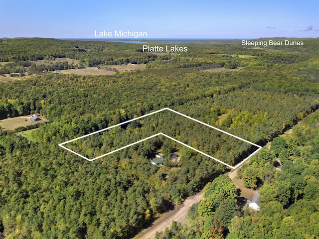 134 Pine Tree Ln, Beulah MI, 49617 land for sale