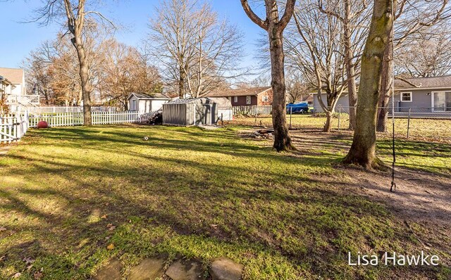 view of yard featuring a shed