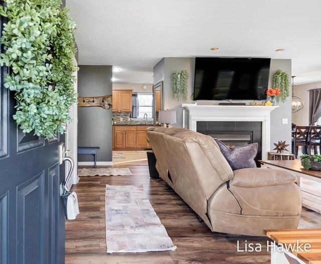 living room featuring dark hardwood / wood-style flooring and a tile fireplace