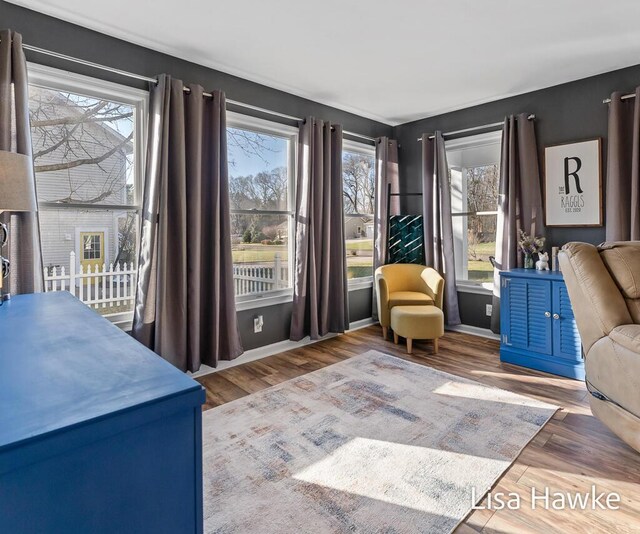 interior space featuring multiple windows and hardwood / wood-style flooring