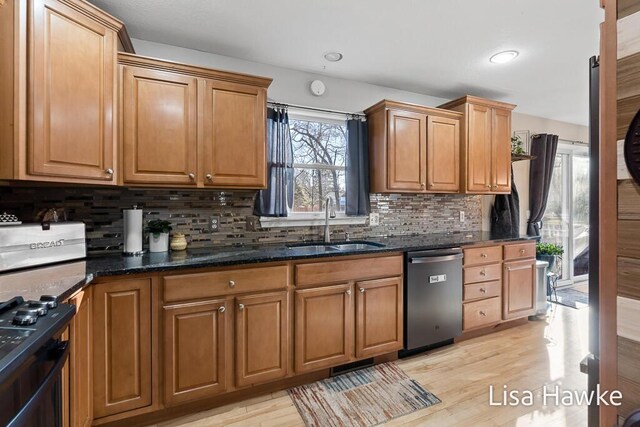 kitchen featuring tasteful backsplash, stainless steel dishwasher, sink, light hardwood / wood-style flooring, and dark stone countertops