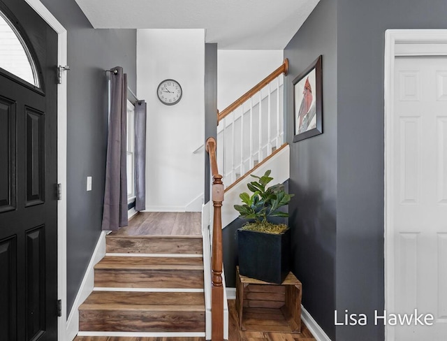 entryway with hardwood / wood-style floors and plenty of natural light