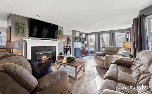 living room featuring a fireplace and light hardwood / wood-style flooring