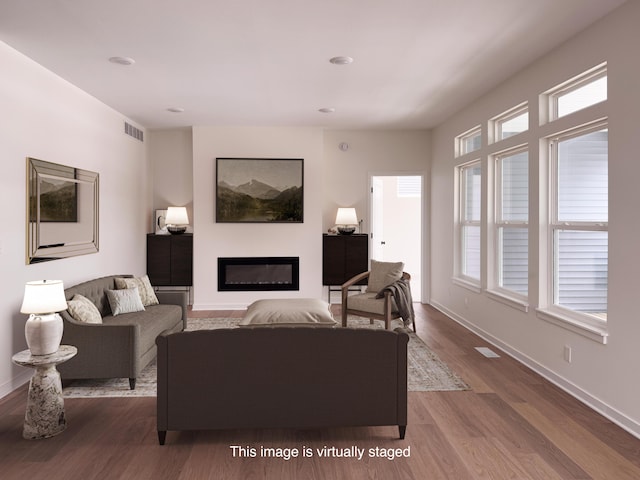 living room featuring wood-type flooring