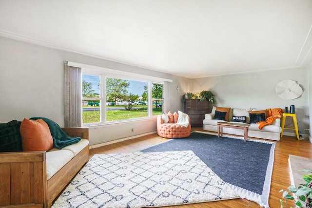 living room with hardwood / wood-style flooring