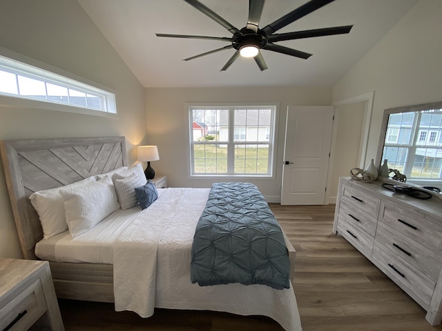 bedroom featuring lofted ceiling and multiple windows