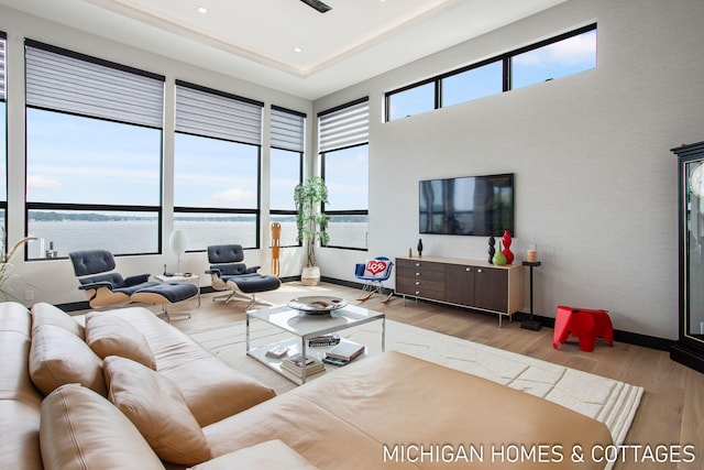 living room with a raised ceiling and light hardwood / wood-style flooring