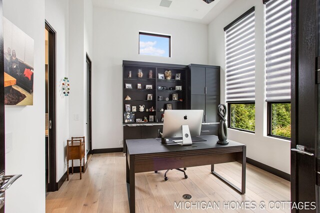 office featuring light hardwood / wood-style floors