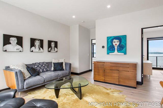 living room featuring light wood-type flooring