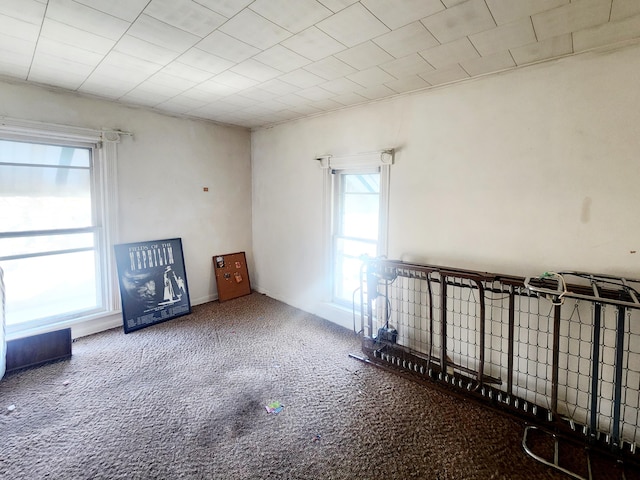 empty room featuring carpet