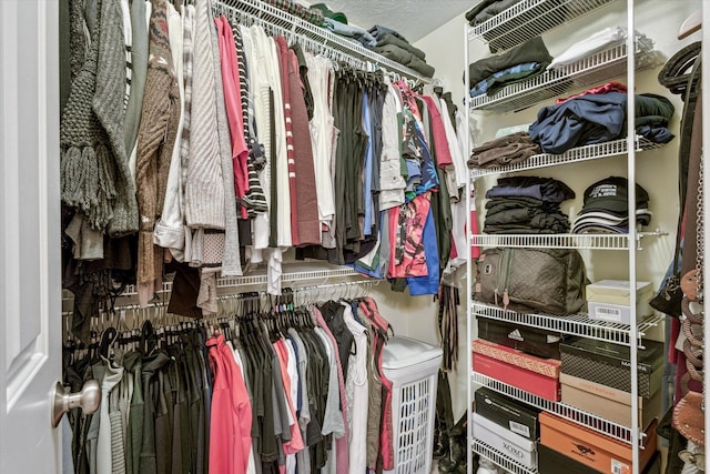 view of spacious closet