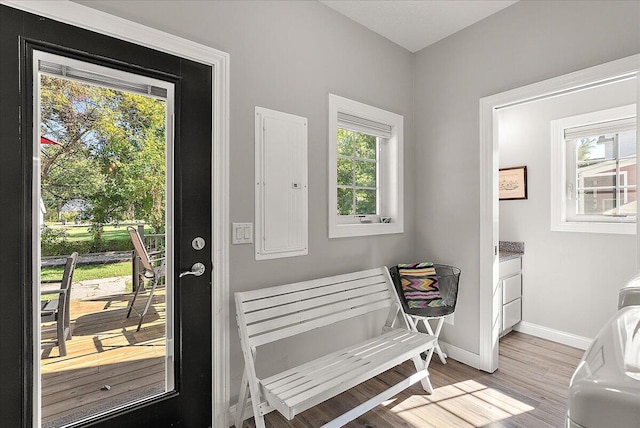 doorway featuring electric panel and light hardwood / wood-style flooring