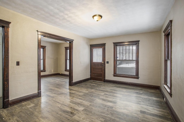 entrance foyer featuring dark wood-type flooring