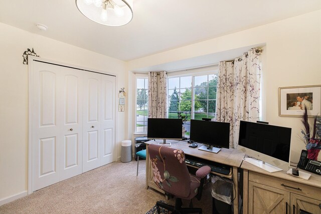 home office with light carpet