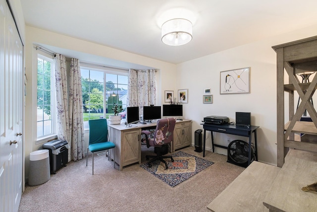 view of carpeted home office