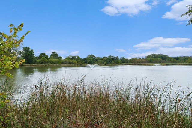 water view