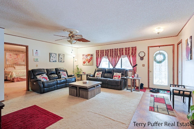 living room featuring ceiling fan, ornamental molding, and a textured ceiling