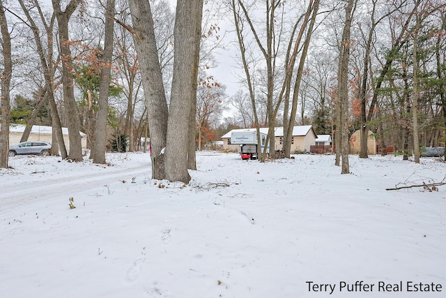 view of yard covered in snow