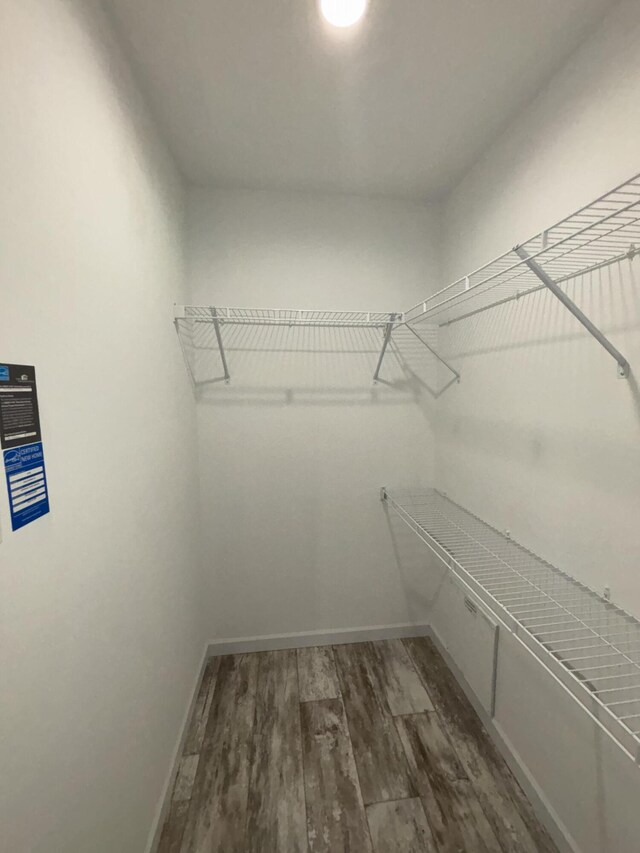 walk in closet with dark wood-type flooring