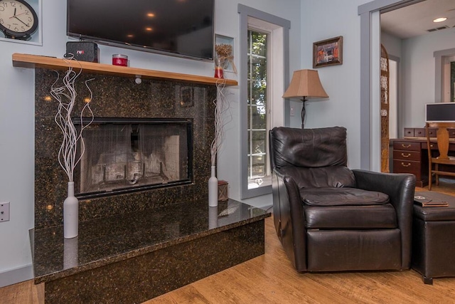 living area with wood-type flooring and a fireplace