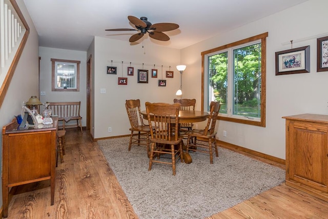 dining room with ceiling fan and light wood-type flooring