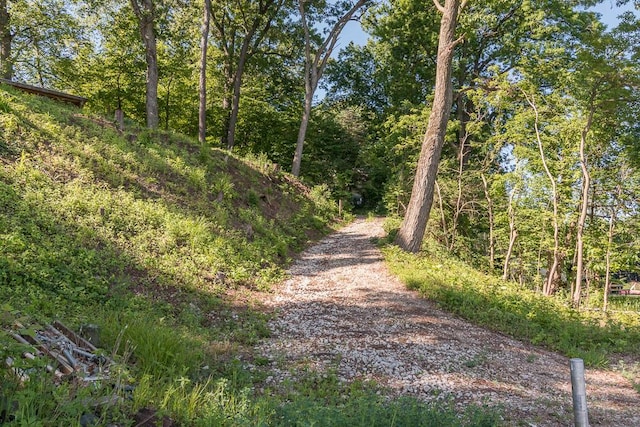 view of road