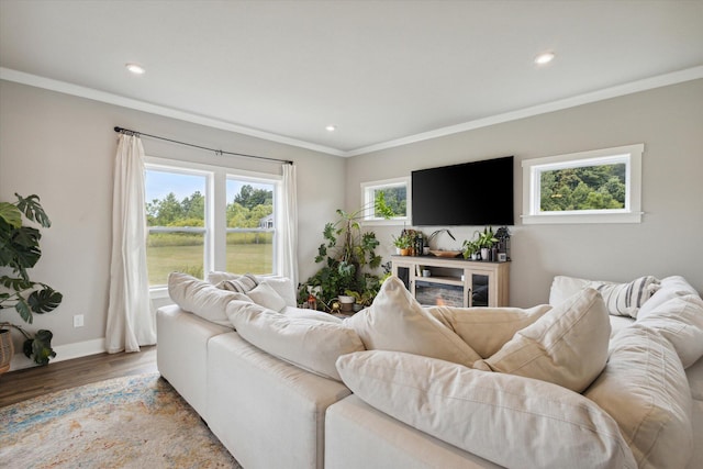 living room with wood-type flooring and crown molding