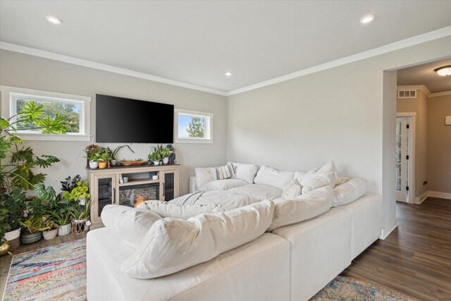 living room with crown molding and dark wood-type flooring