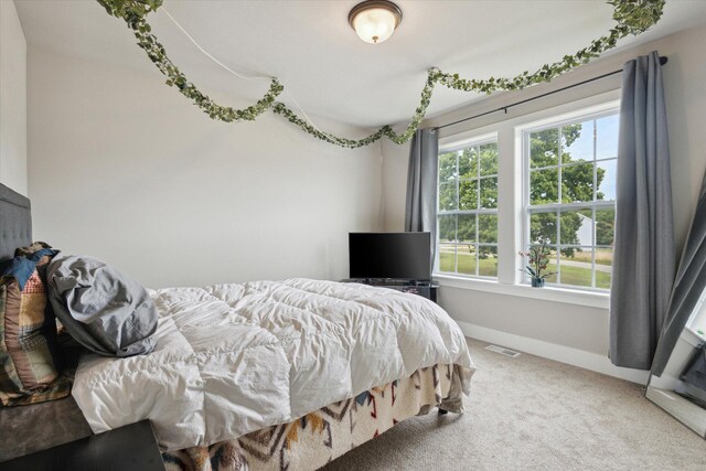 bedroom with carpet floors