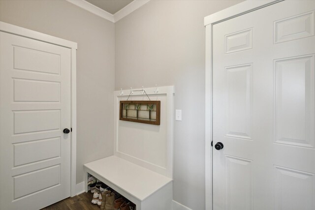 mudroom with dark wood-type flooring and ornamental molding