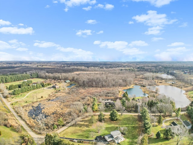 birds eye view of property featuring a rural view and a water view