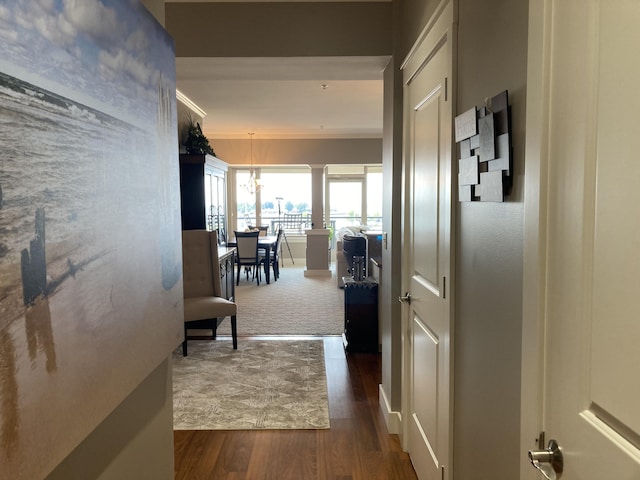 hallway featuring dark hardwood / wood-style flooring and ornamental molding