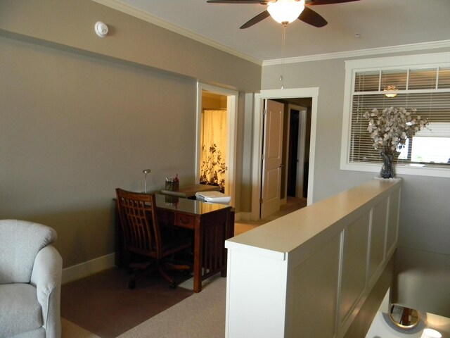 carpeted office space with crown molding and ceiling fan