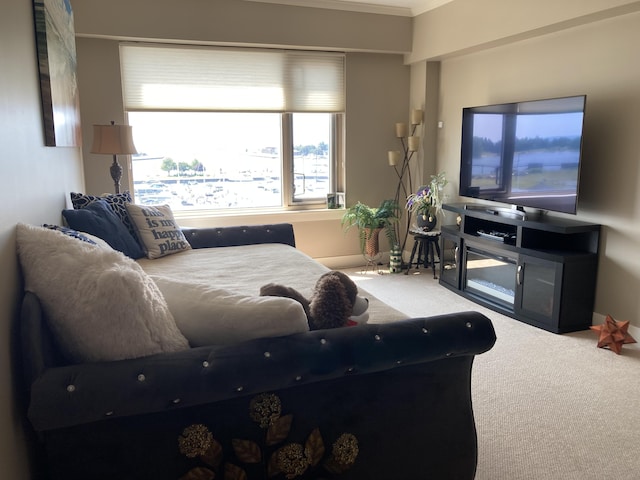 living room featuring carpet floors