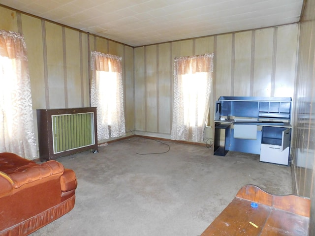 interior space with radiator, carpet floors, and a wealth of natural light