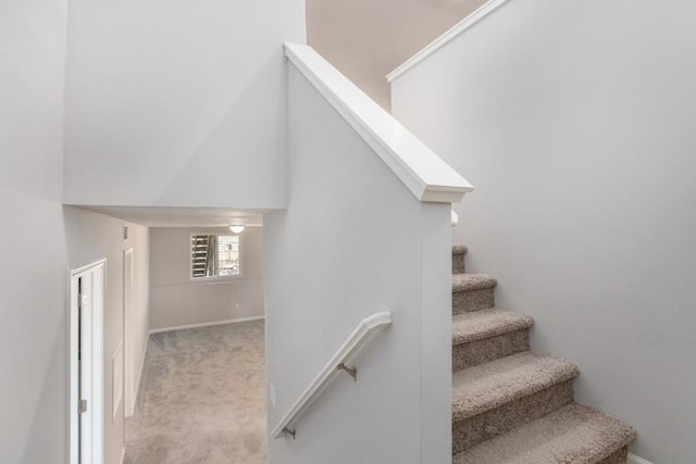 stairway featuring carpet floors