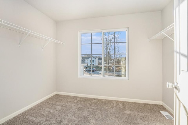 spacious closet featuring carpet floors